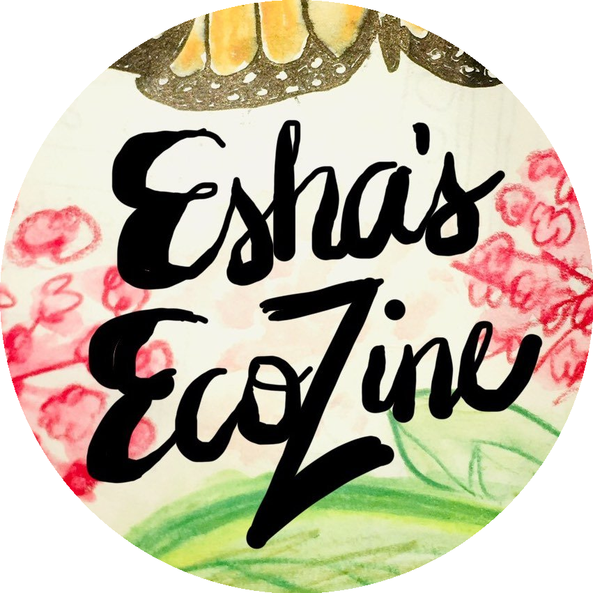 ecozine logo